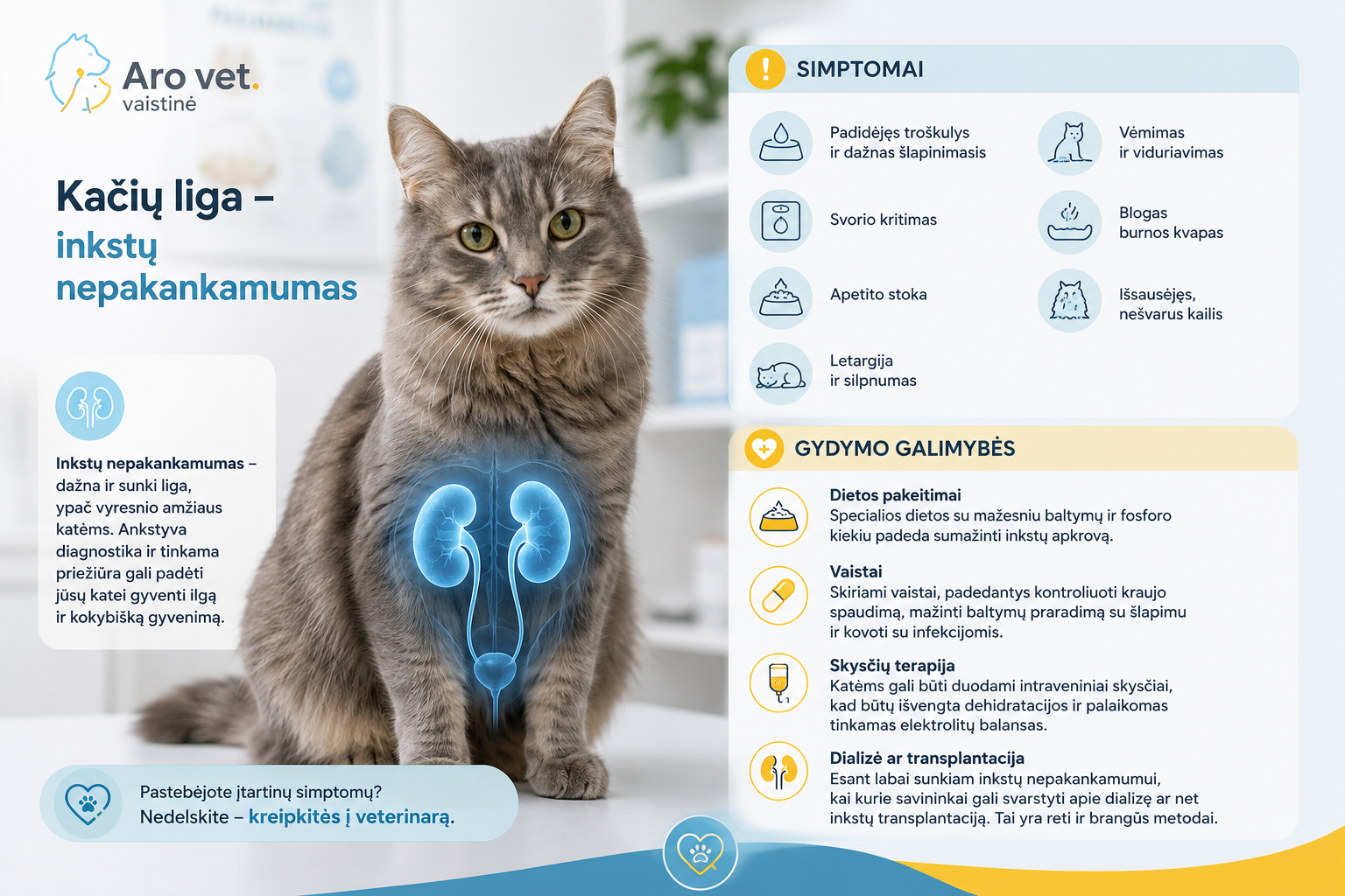 Kačių liga - inkstų nepakaknkamumas