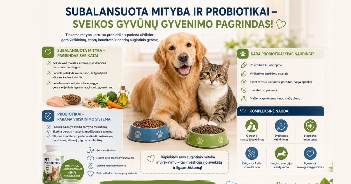 PET Probiotics - Jūsų Augintinio Sveikatos Ateitis Jau Šiandien!