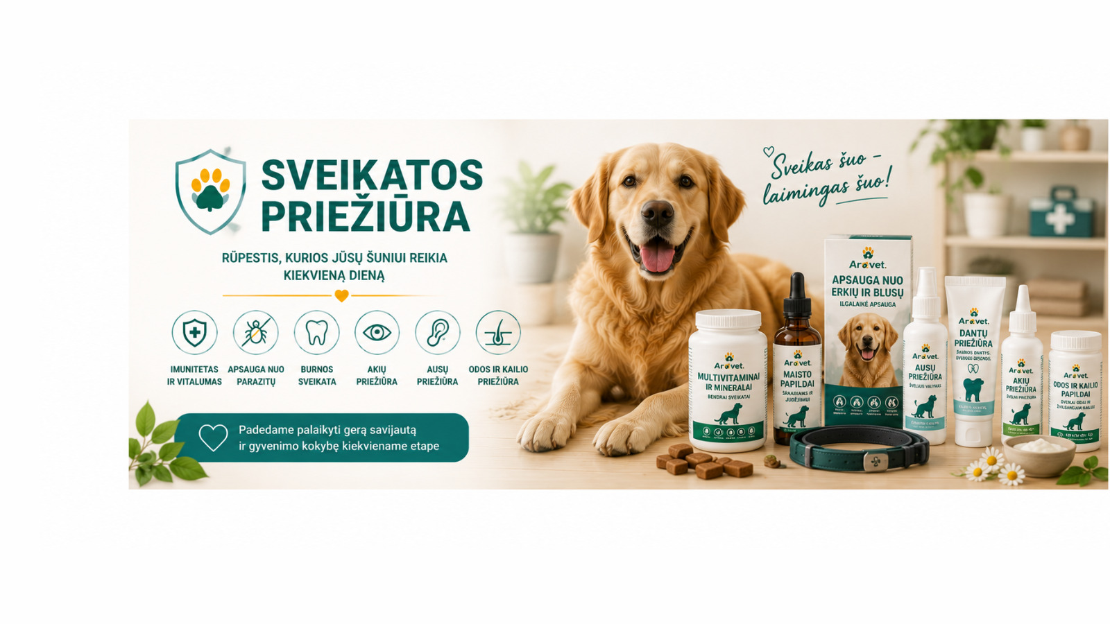 Sveikatos priežiūra