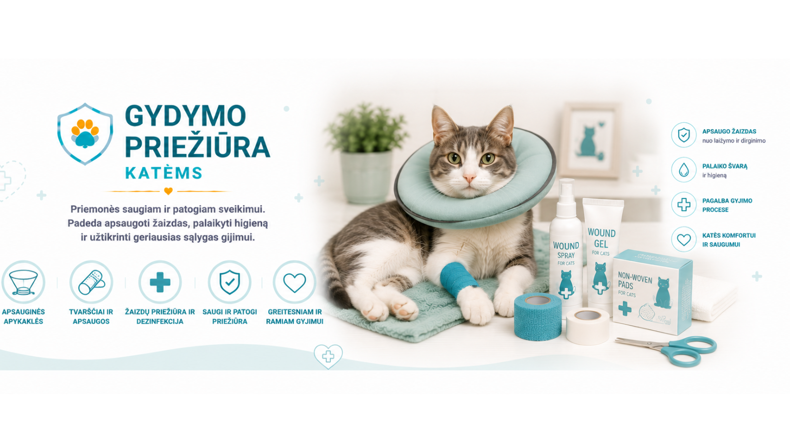 Gydymo priežiūra