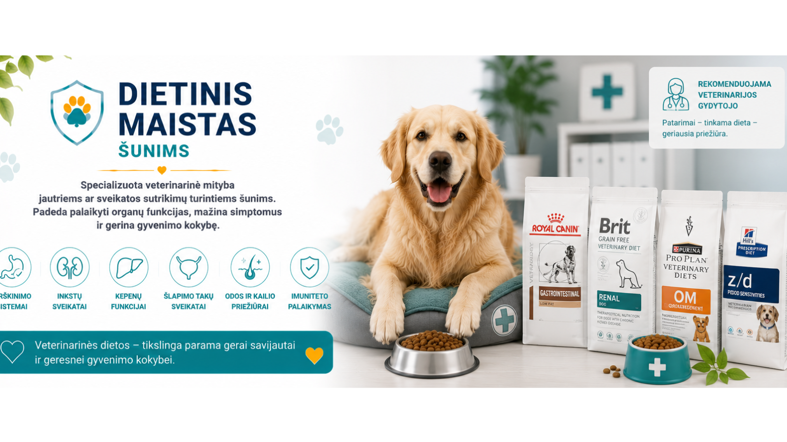 Dietinis maistas