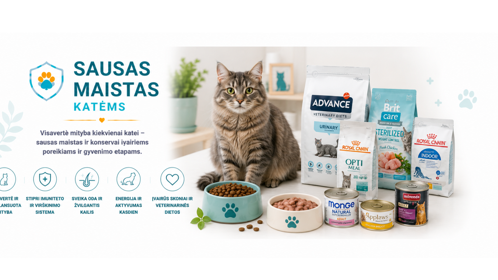Sausas maistas