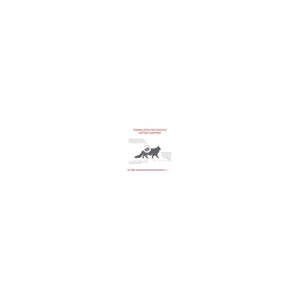 ROYAL CANIN® Renal Select (inkstam)