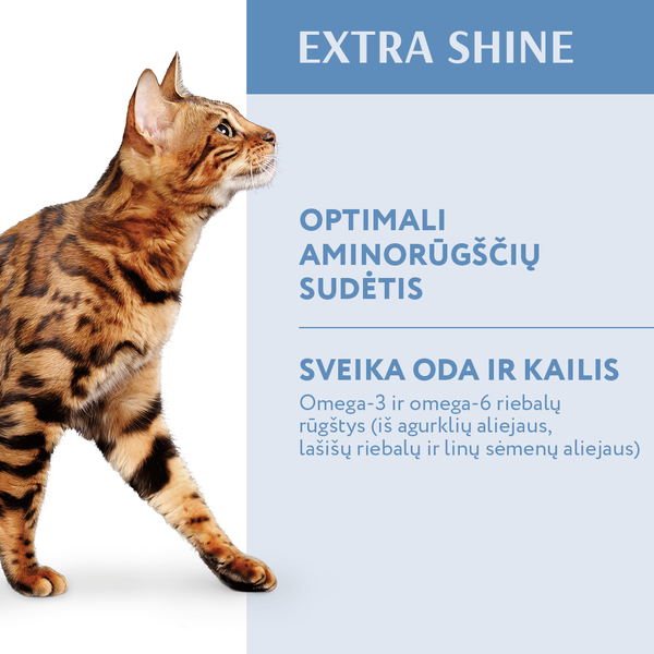 OPTIMEAL™. visavertis pašaras suaugusioms katėms su dideliu menkės kiekiu