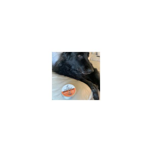 DOGSLIFE natūralus, raminantis ir atstatantis balzamas odos priežiūrai šunims, 60 ml