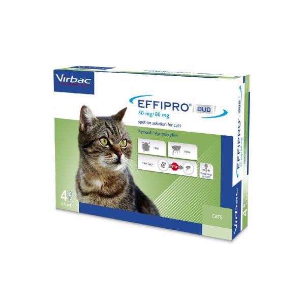 Effipro duo lašai  katėms 50mg/60mg