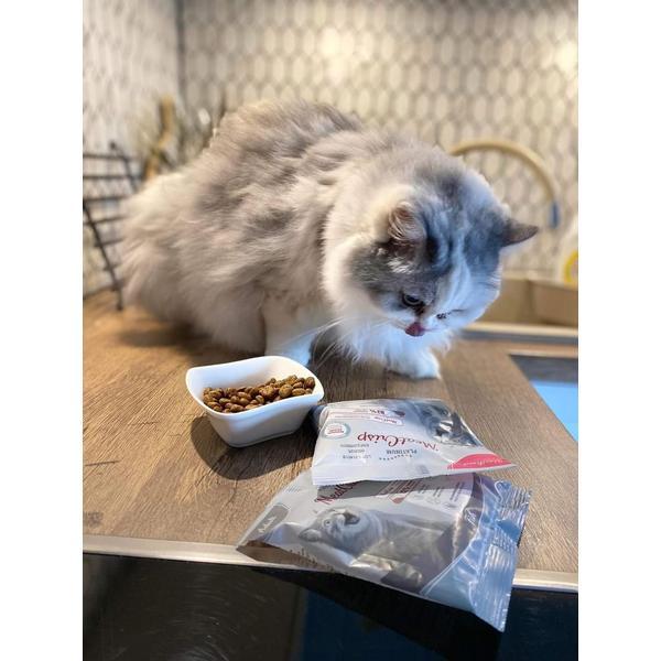 Platinum MeatCrisp sausas pašaras sterilizuotoms katėms su žuvimi
