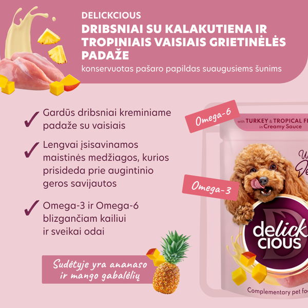 DELICKCIOUS™ „Dribsniai su kalakutiena ir tropiniais vaisiais grietinėlės padaže“. Konservuotas pašaro papildas suaugusiems šunims.