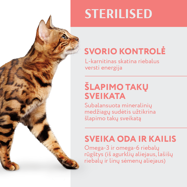 OPTIMEAL™. visavertis pašaras sterilizuotoms katėms ir kastruotiems katinams- didelis kiekis jautienos ir sorgų.