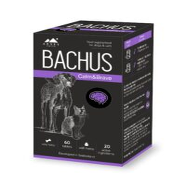 BACHUS Calm & Brave (ramesnis požiūris į aplinką) N60
