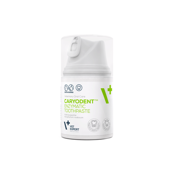 CARYODENT fermentinė dantų pasta 50ml