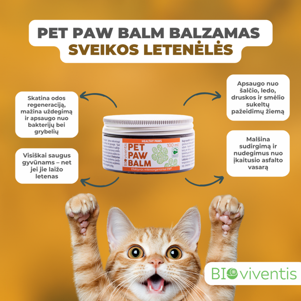 PET PAW BALM – Balzamas sveikos letenėlės, 100 ml