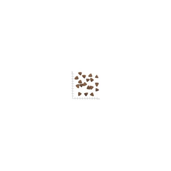 Wolfsblut Adult Wide Plain Light sausas maistas suaugusiems šunims su arkliena