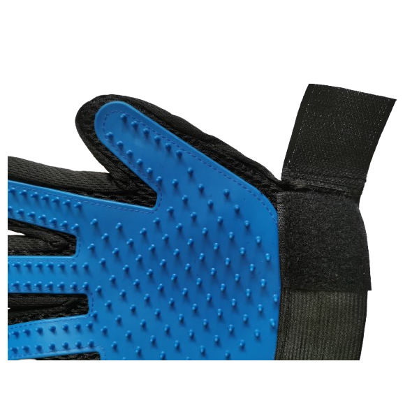 Sneaker front view