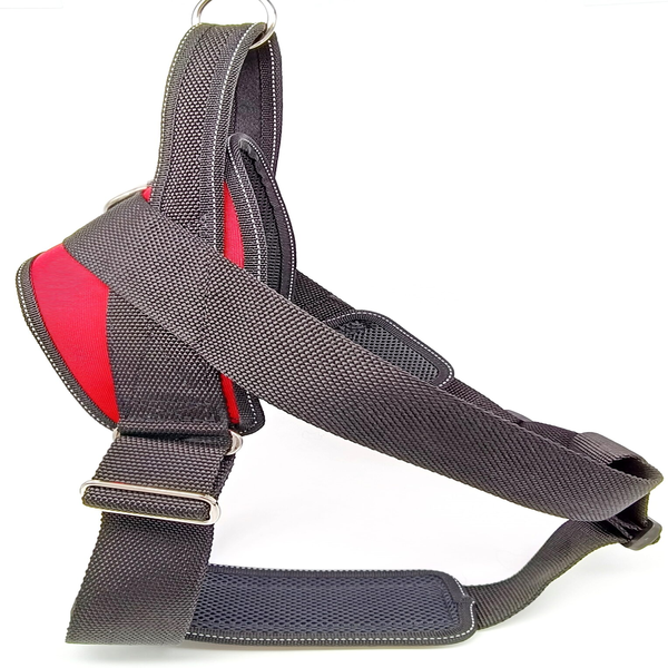 Sneaker front view