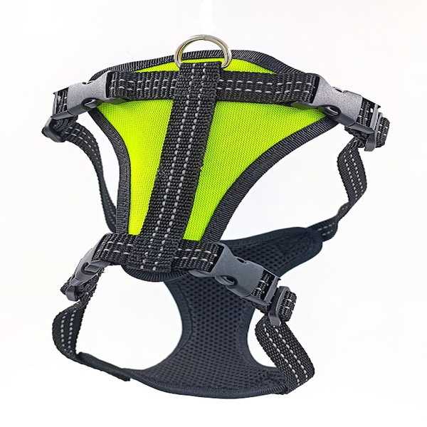 Petnešos su 4 reguliuojamais užsegimais