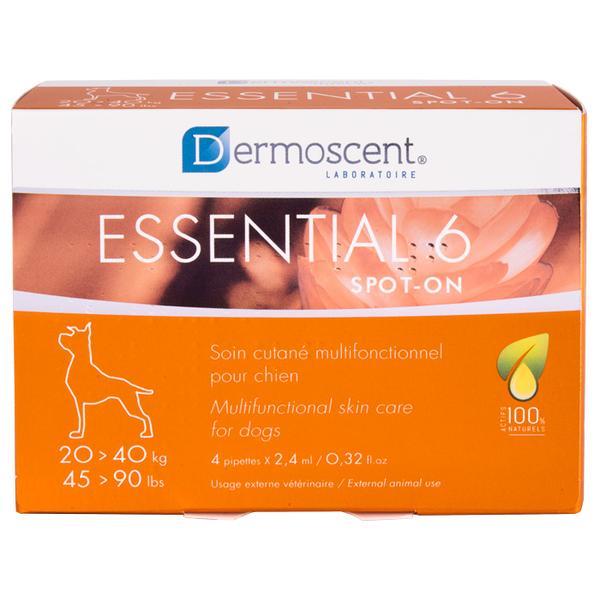 Dermoscent Essential 6 – lašai šunų odos ir kailio būklei gerinti 20-40kg 2,4ml N4