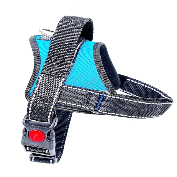 Sneaker front view