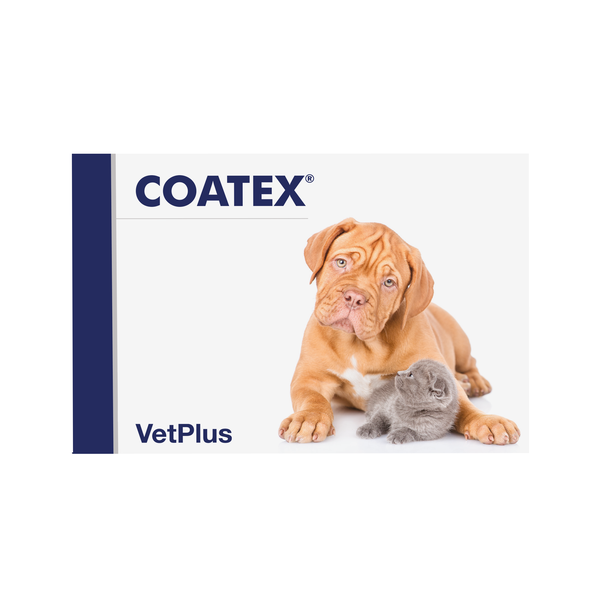 Coatex, pašaro papildas odaiir kailiui