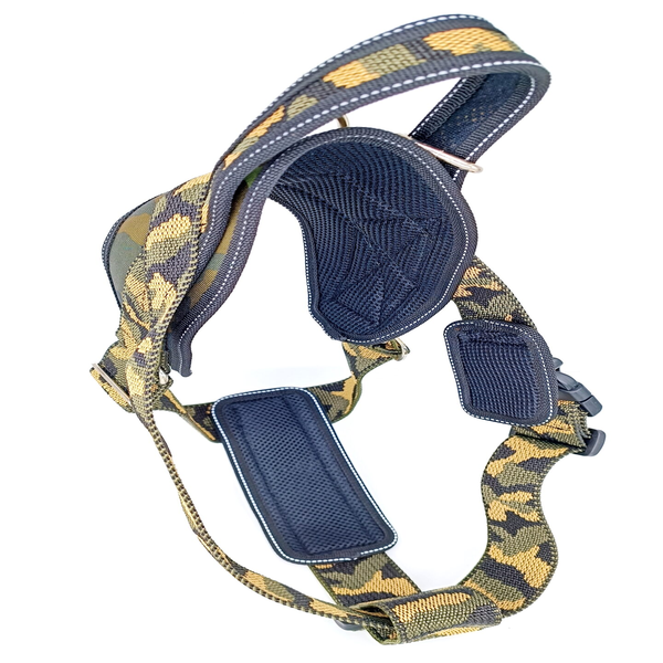 Sneaker front view