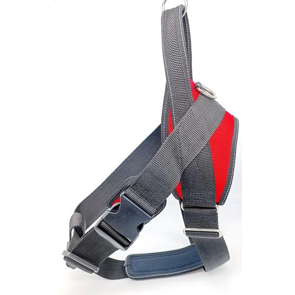 Raudonos šunų petnešos