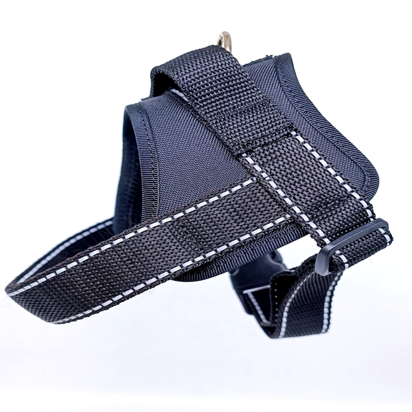 Sneaker front view